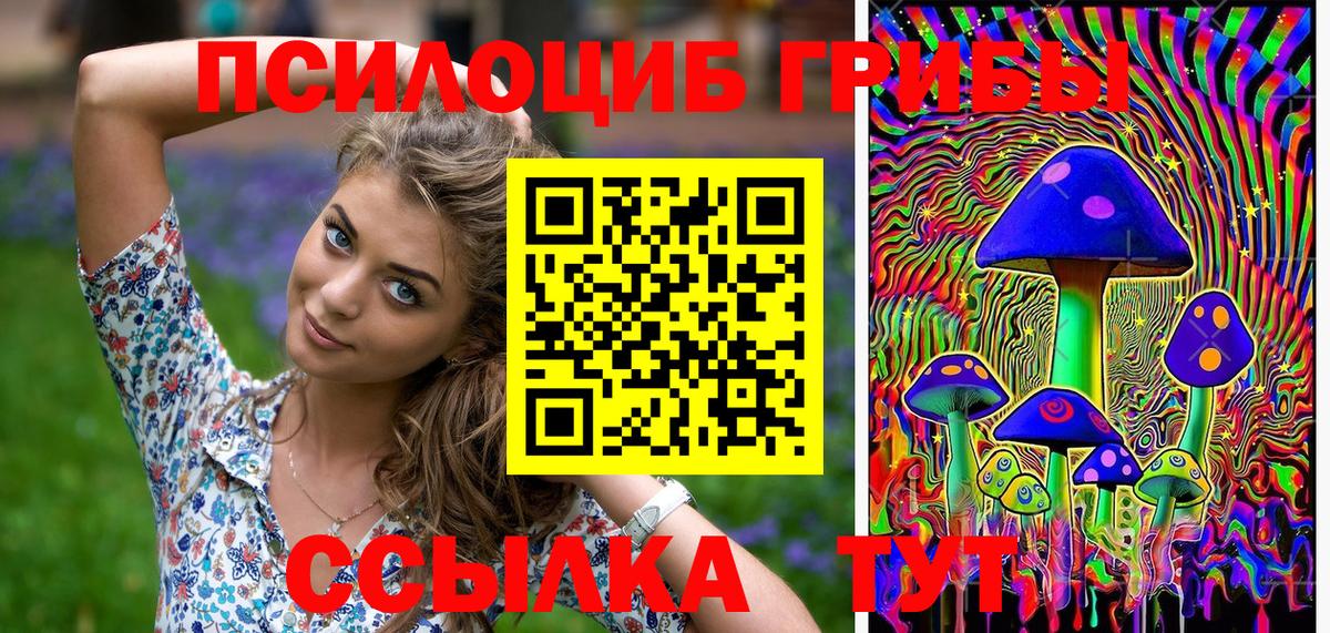 Галлюциногенные грибы мицелий Мурино