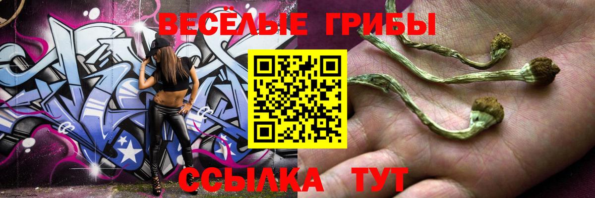 Галлюциногенные грибы ЛСД  Галлюциногенные грибы MAGIC MUSHROOMS  Мурино  Вход с VPN 